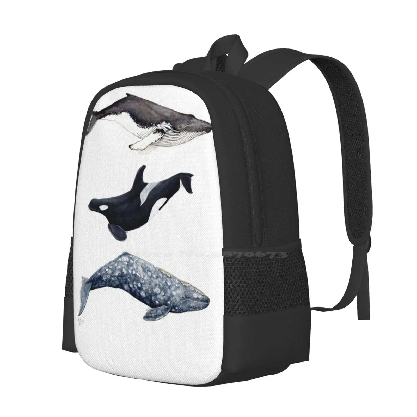 Orca , Humpback And Grey Whale Teen College Student Backpack Pattern Design Bags Orcas Killer Whales Dolphins Orcinus Orca