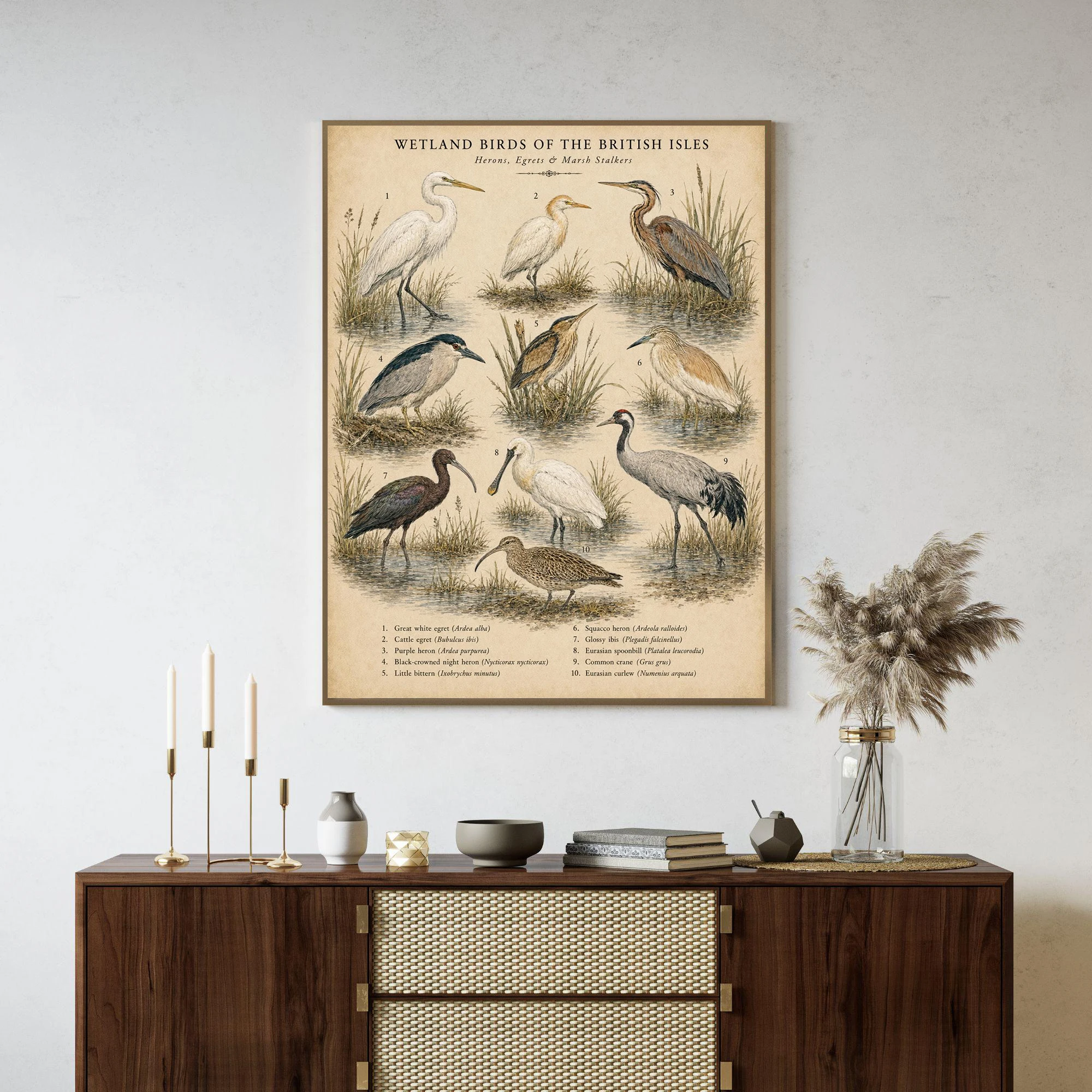 Wildlife Wall Art: Vintage-Style Owl and Coastal Wetland Bird Canvas Print – Home Decor for Bedrooms Cuadros