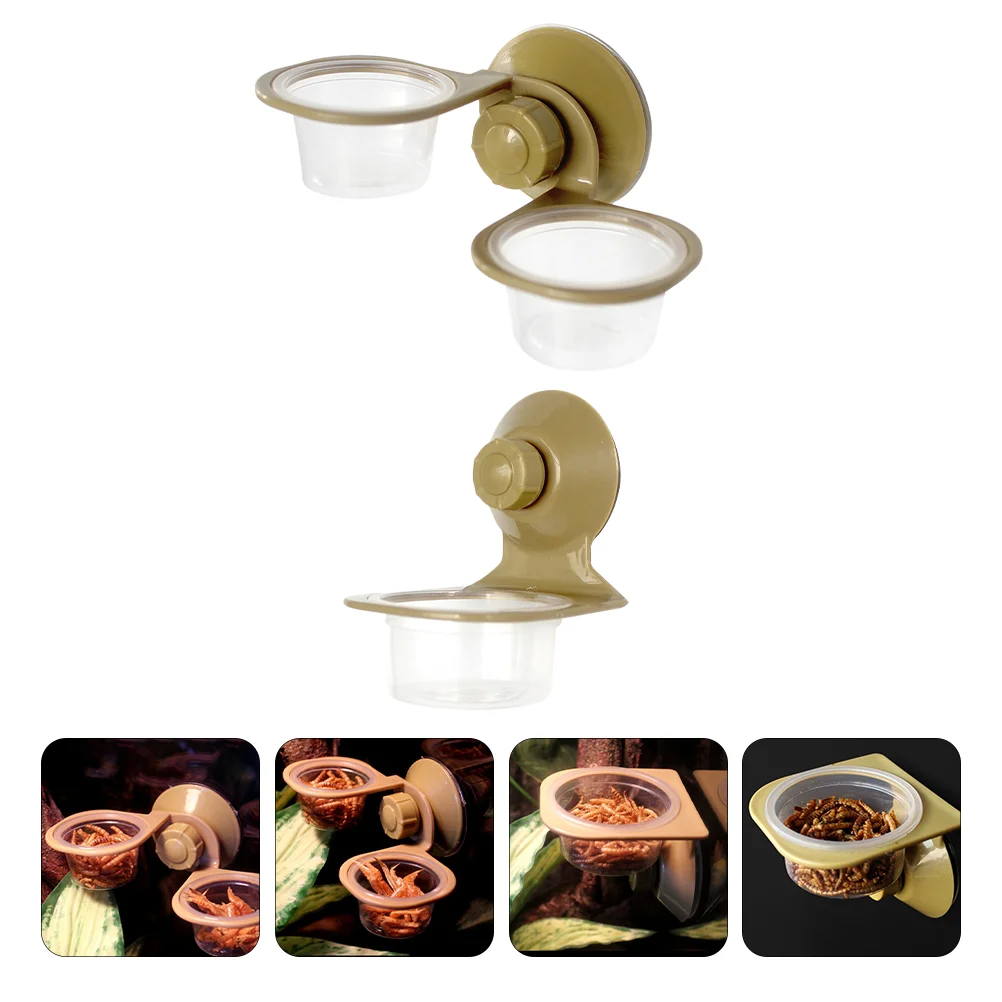 2 PCS Food Bowl Amphibian Feeder Reptile Accessories Lizard Basin Feeding Supplies images - 6