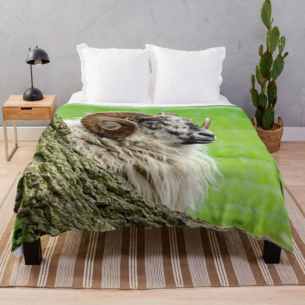 

Boreray Ram Throw Blanket Warm Flannel Blanket for Couch Chair Bedroom