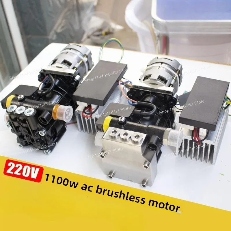 Miniature High Power AC Brushless Motor High Speed Small Stainless Steel Pump Head High Pressure Washer Booster Piston