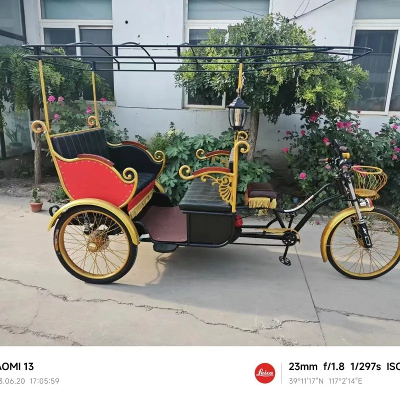 Sightseeing soliciting tour pedal tricycle