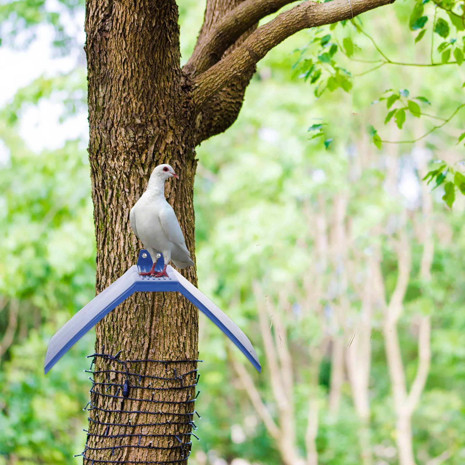 

10 Pcs Racing Pigeon Perch Roost Stand Bird Cage Birdcage Plastic Stands Dove Rest Perches