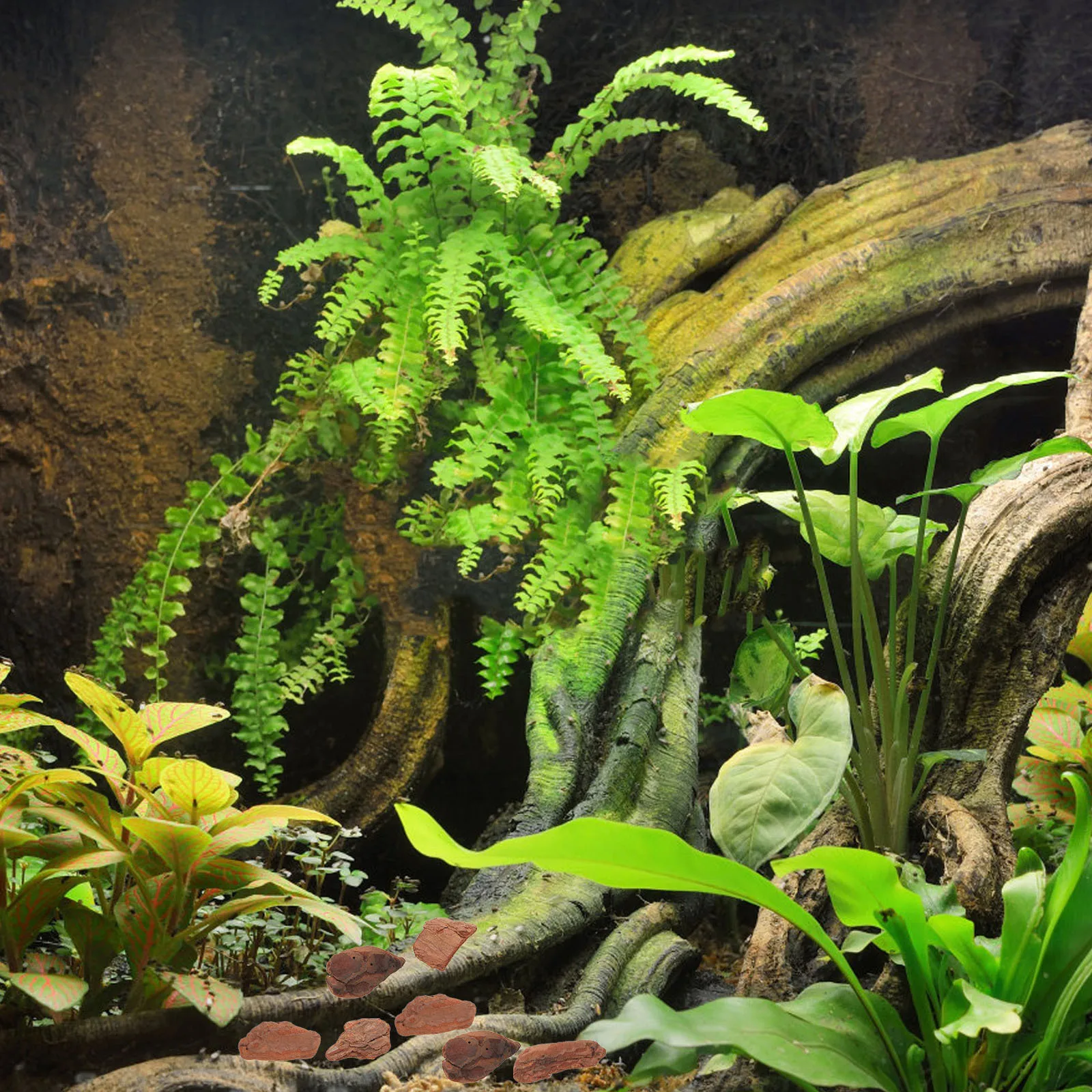 

1 Bag Reptile Bark Bedding Natural Tree Bark Chips Decor Terrarium Tank Bedding Reptile Tank Accessories Terrarium Decorations