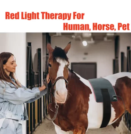 

Pain Relief at Home Use 660 and 850nm Near Infrared Light Devices 360pcs LED