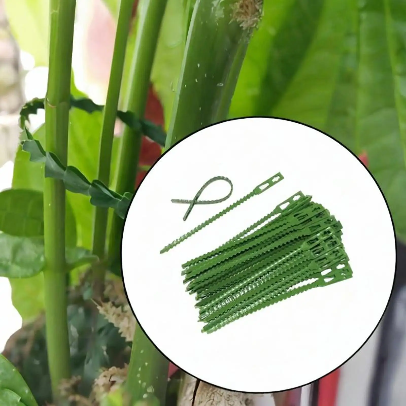 

50x Adjustable Plant Ties Sturdy Serrated Multifunction for Climbing Plants Garden Ties for Indoor Outdoor Office Home Gardening