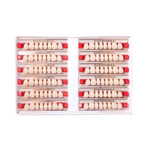 Imagen 2 del producto 16/12 juegos/caja de dientes dentales Anterior Posterior polimérica dentadura acrílico A2 A3 2 capas materiales de odontología modelo educativo