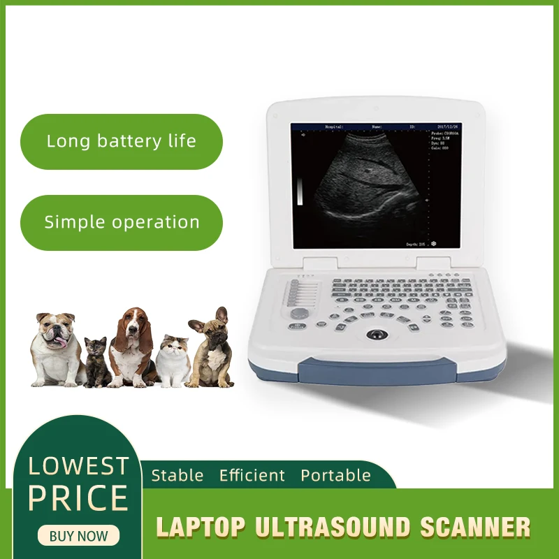 Veterinary Ultrasound Scanner 3 In 1 Wireless Ultrasound Scanner 192 Elements Pet Clinic Medical