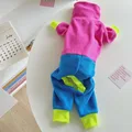 Dog clothes