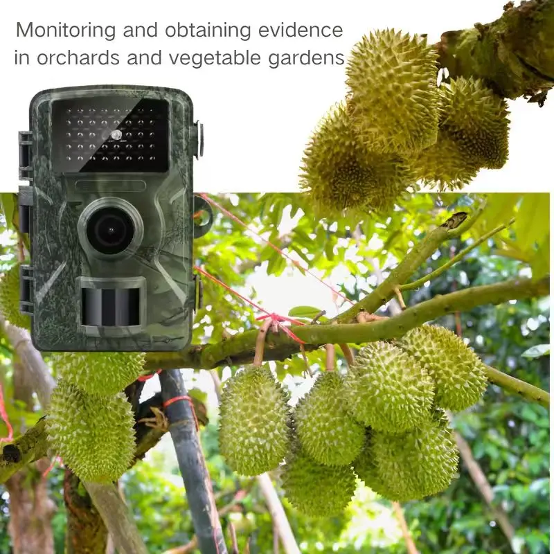 

Камера для наблюдения за дикой природой с датчиком движения для охоты и разведки