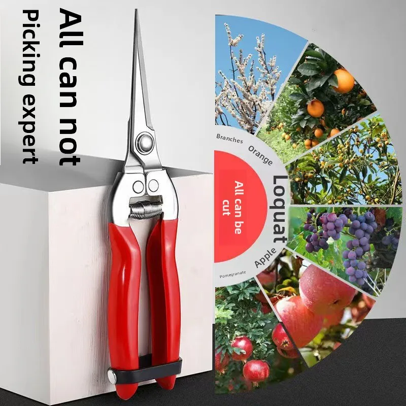 

Stainless Steel Garden Pruning Shears Grape Rare Fruit Shears Pan Garden Tools Pointed Orchard Fruit Picking Shears