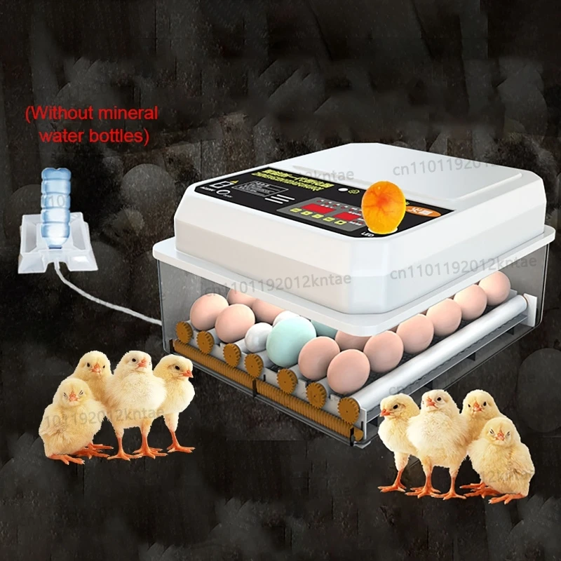 Fully Automatic Turning 16 Eggs Egg Incubator Farm Poultry Dual Electric Mini Household Brooder for Chicken Goose Duck Bird