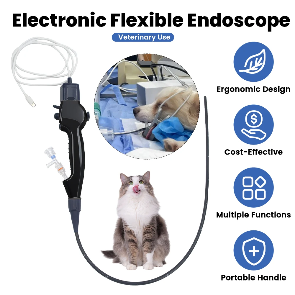 Flexible Video Bron…