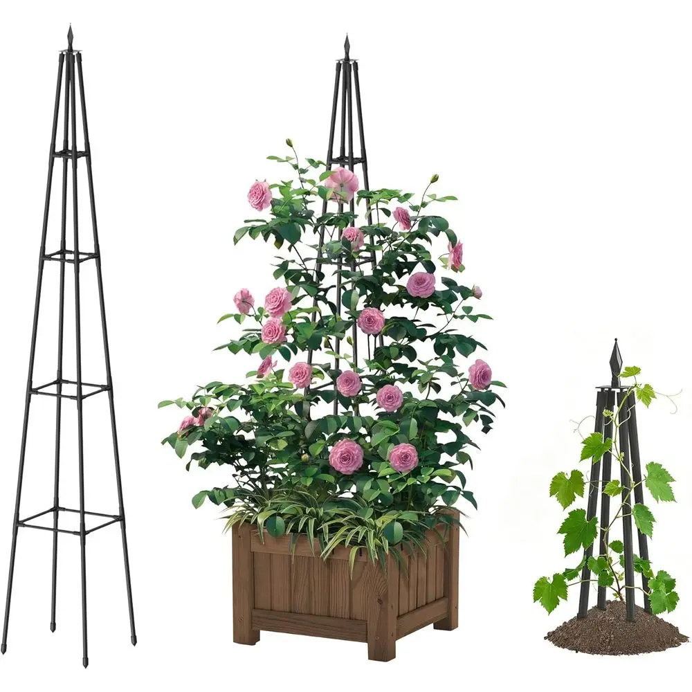 Outdoor Trellis System for Climbing Plants, 16mm Thickened Metal Pipes, Black, Suitable for Indoor or Outdoor Use
