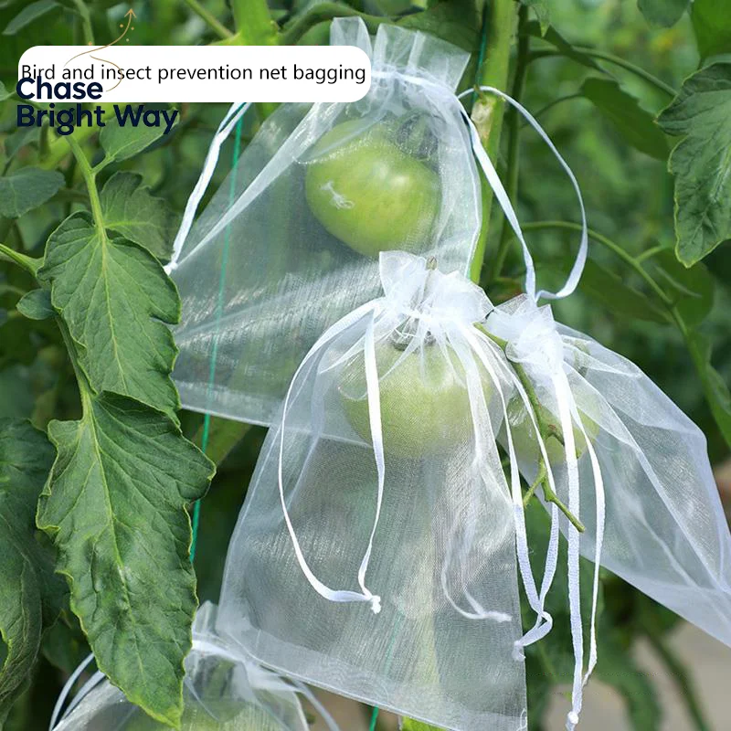 50Pcs Fruit Protection Mesh Bag Anti Bird Anti  Garden Grape Plant Protective Cover