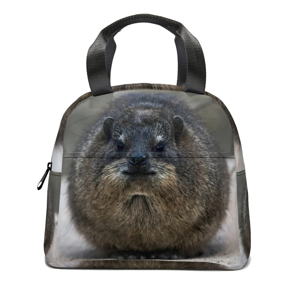 

Rock Hyrax Insulated Thermal Cooler Bag Lunch bag Foods Drink Storage Leakproof Picnic Camping Bags Outdoor Cooler Box beach