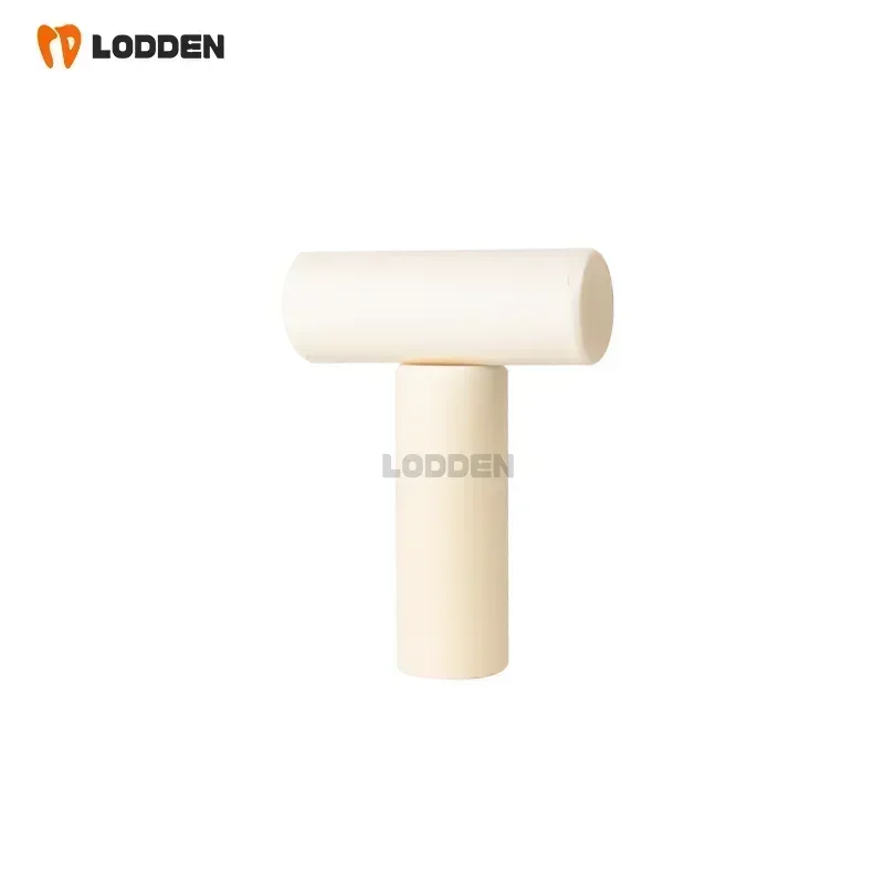 LODDEN Dental Investment Ring Press Rod Used for Press Furnace Denture Casting Tool Ceramic Ingots Mould