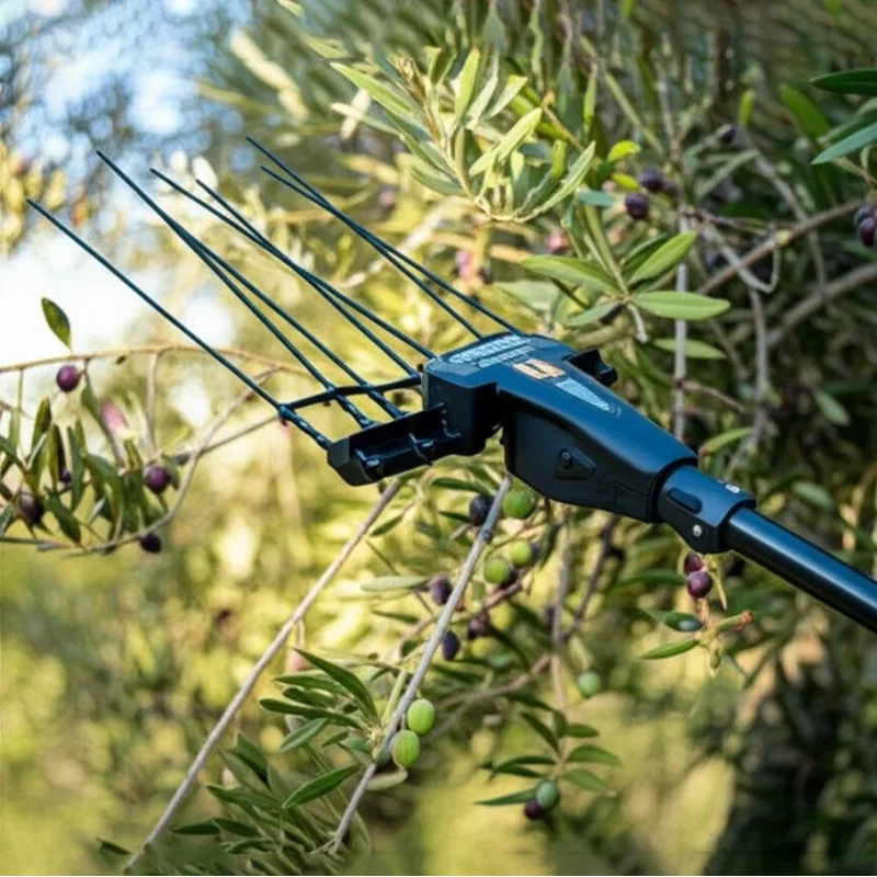 

N+PLUS New Design Eco-Friendly Durable Electric Harvester Ergonomic Comfortable Operation High-Speed Olive Picking Machine