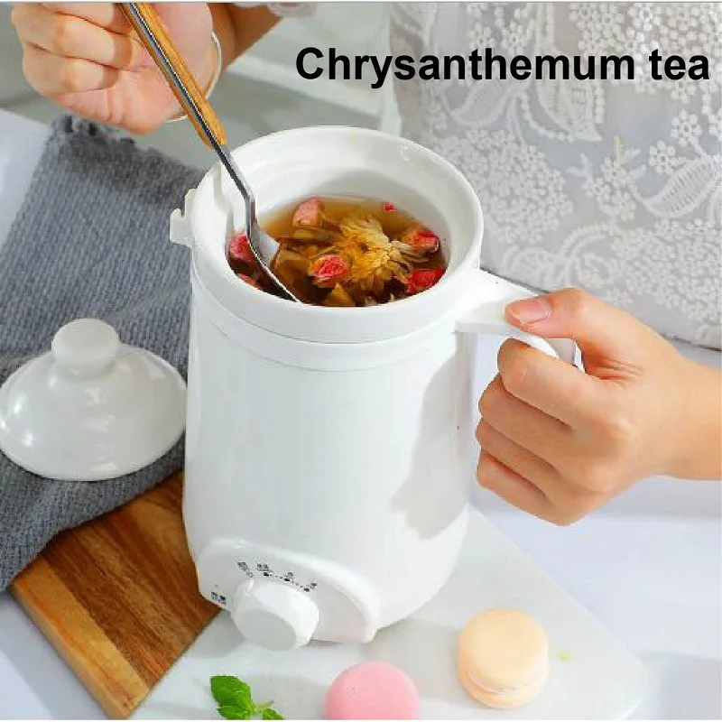 110V/220V Health Pot Office Porridge Cup Dormitory Mini Heat Water Cup Portable Bird\'s Nest Flower Tea Electric Stew Cup 500ML