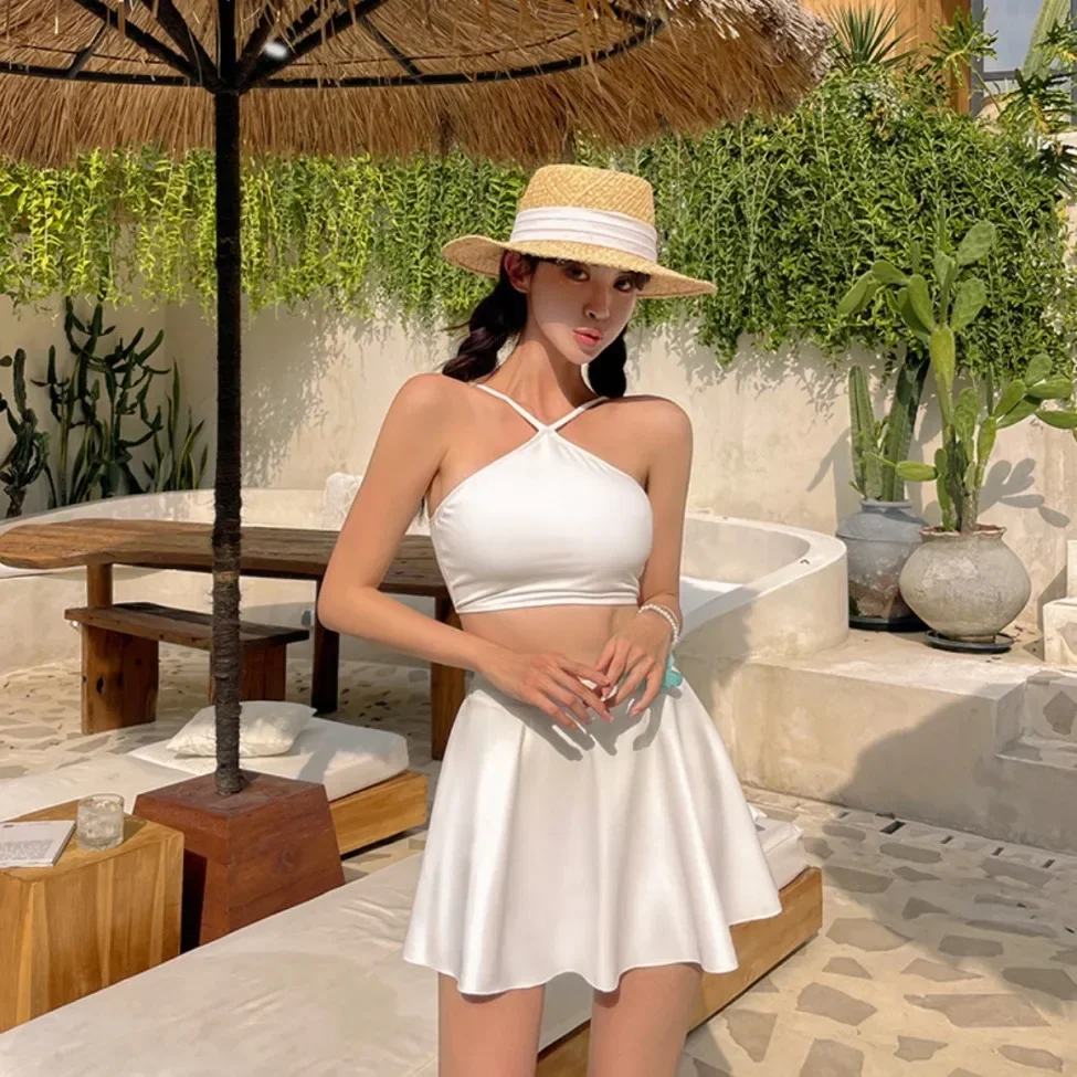 Conservative Cover-Up Bikini Set Sexy Pure Desire High-End Feel Casual Cross-Border Swimwear New Style Skirt Design Slimming