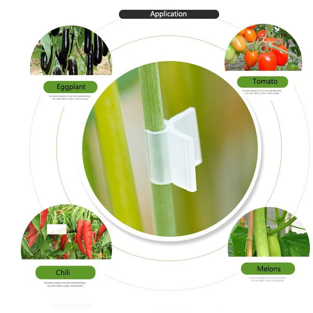20 szt. 2/3/4.5mm rolniczy klipsy do szczepienia warzywny roślina owocowa pomidorowy arbuz podtrzymujący akcesoria ogrodnicze zaciskowy
