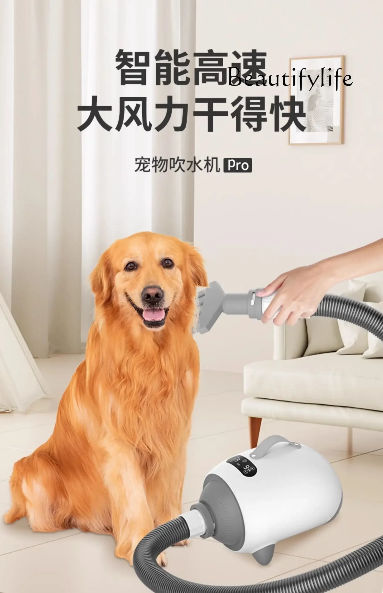 

Pet hair dryer Household cat and dog universal drying special bath hair blowing