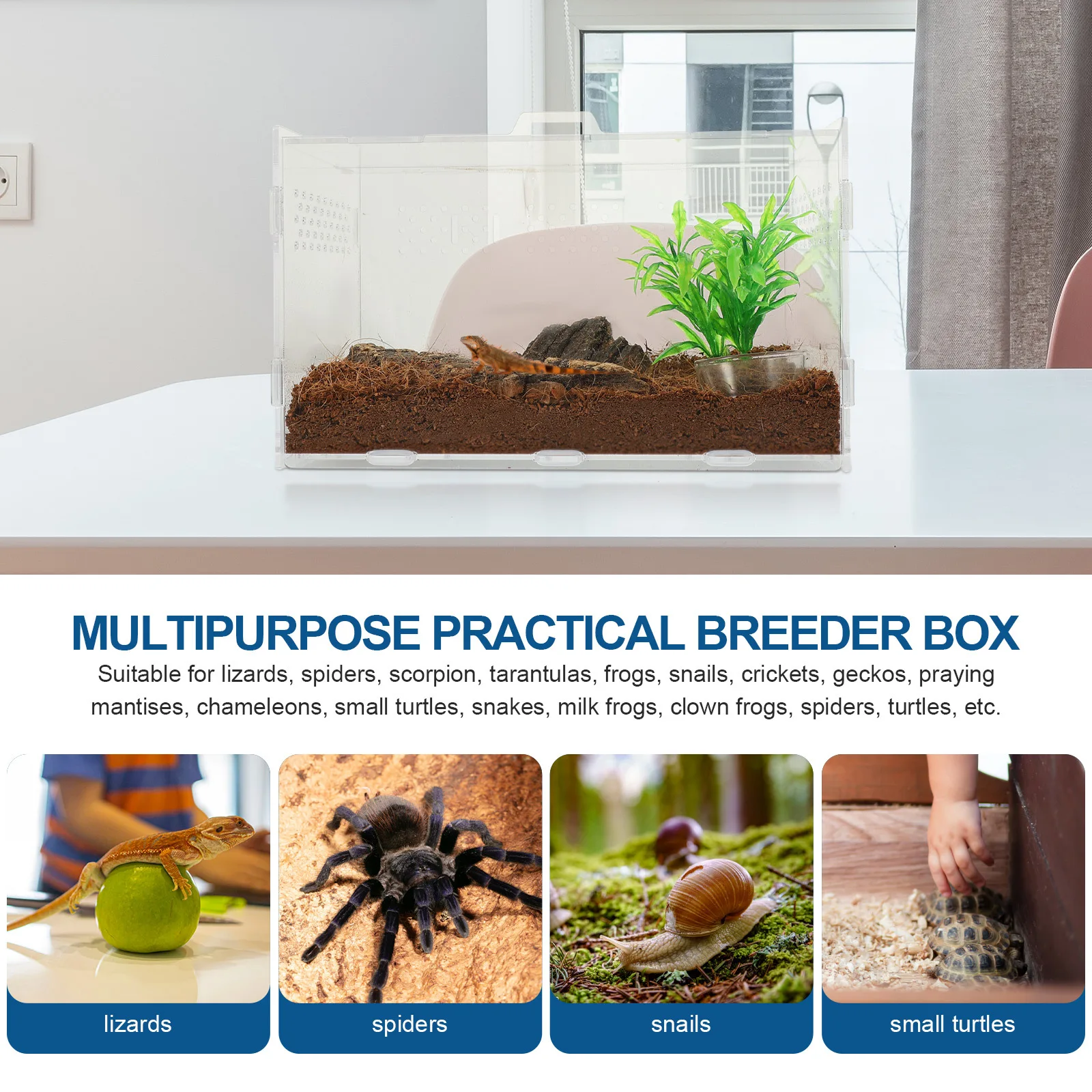 

Clear Acrylic Reptile Tank for Small Pets Ideal Terrarium Cage Habitat for Leopard Gecko Spider Frog Turtle Snake Mantis Hermit