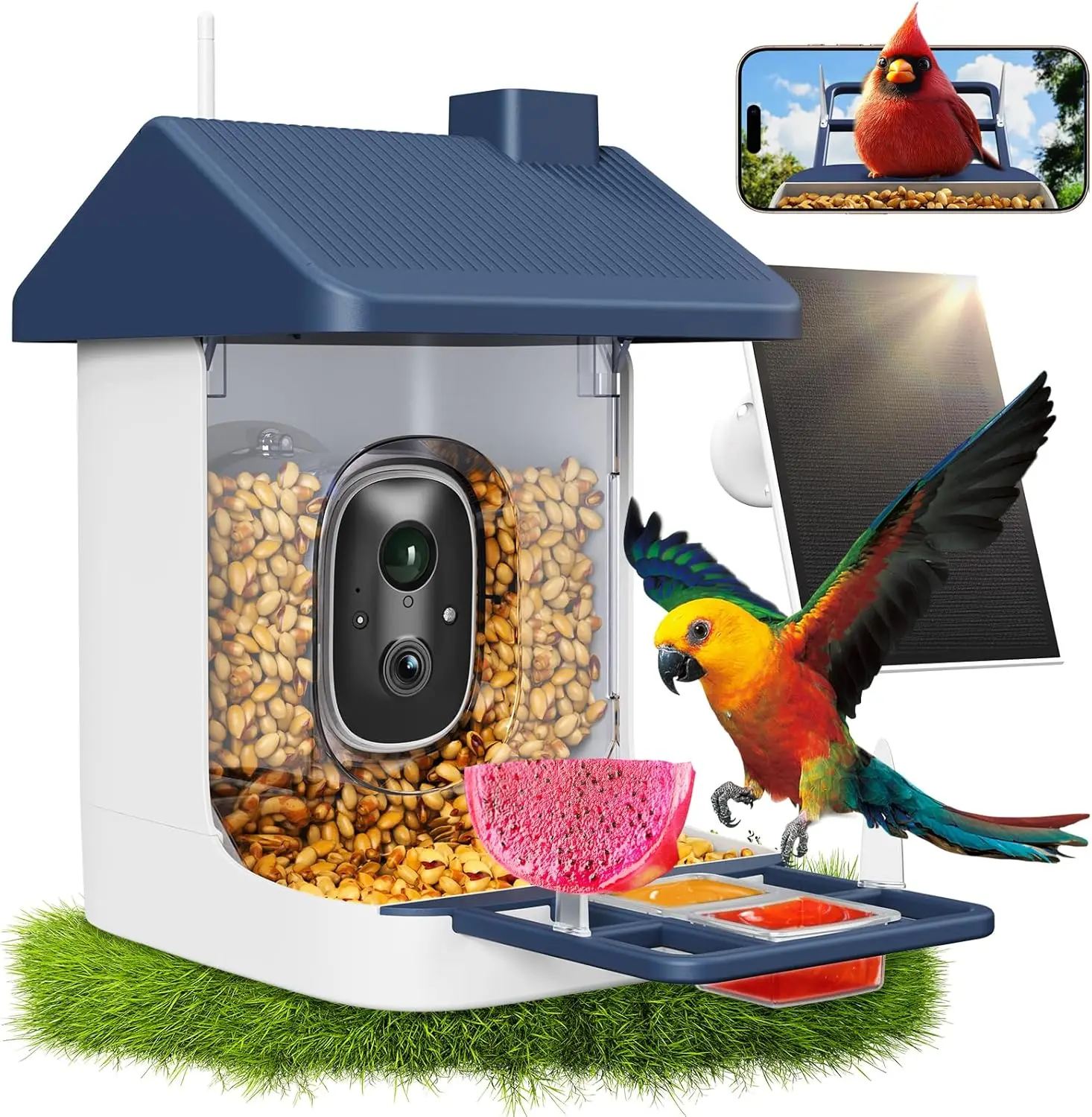 Solar-Powered Smart Bird Feeder with 2K Camera, AI Bird ID & Instant Alerts for Outdoor Bird Watching