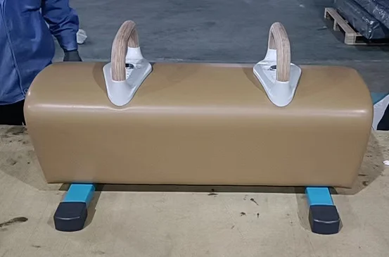 Hot Sale Professional Competition Pommel Horse Gymnastics Equipment Made of Steel for Artistic Gymnastics