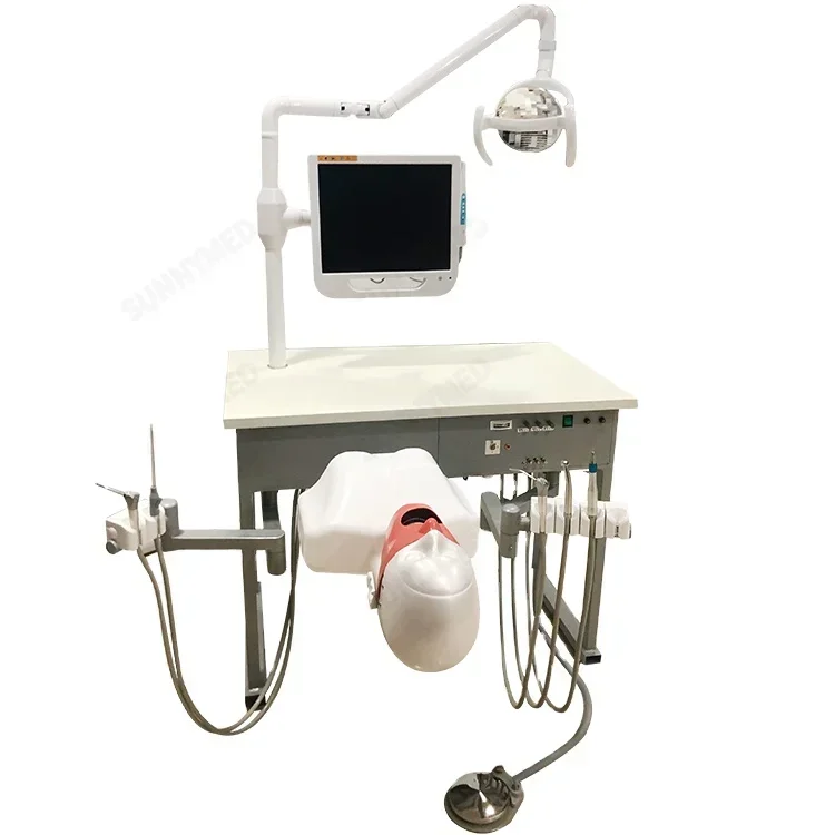 SY-YM07 Simulator Teaching System den--tal Phantom Head for Training