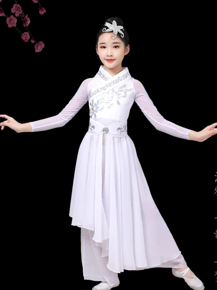 Dach Dance Ethnische Yangko Kleidung Fan Dance Tragen Nationalen Taille Trommel Anzug Leistung Kleidung Chinesischen Stil Hanfu Tanz