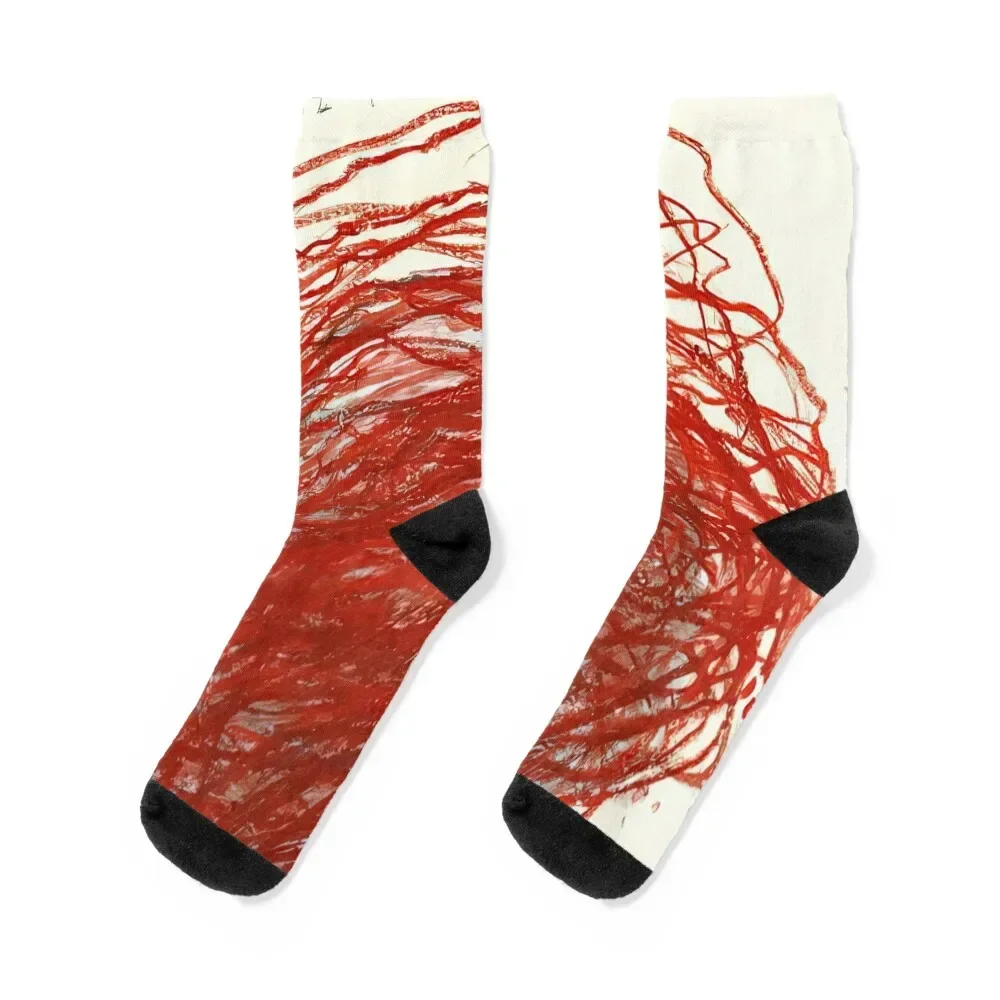 

Twombly - Suma Socks Stockings loose cotton Stockings compression Mens Socks Women's