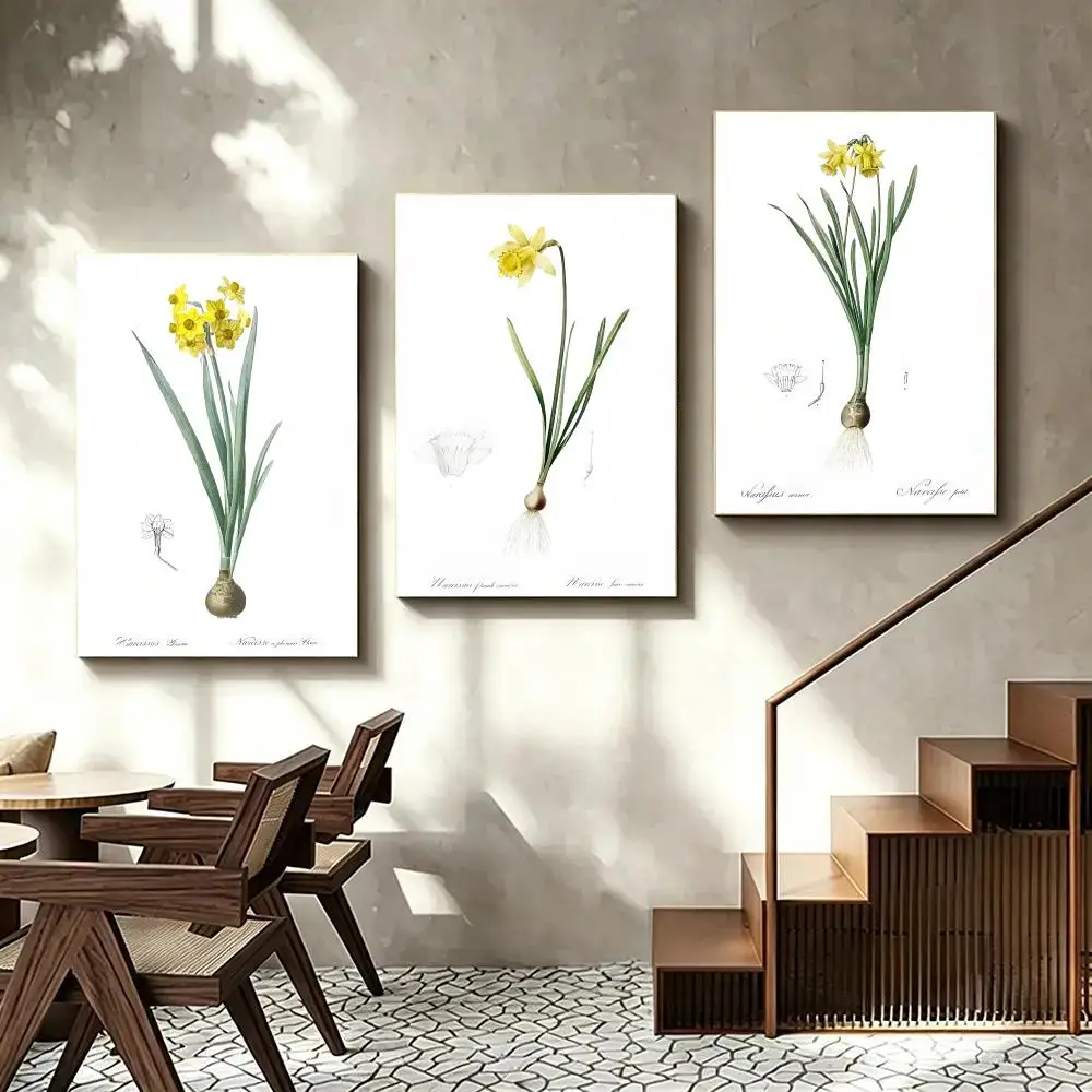 Vintage Daffodil Illustration Poster Self Adhesive Art Prints for Bedroom Living Room Wall Decor Home Decoration Gift