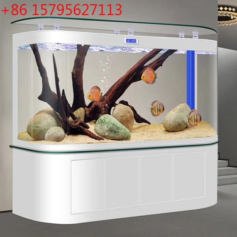 

Новый большой изогнутый дно фильтр дракон аквариум гостиная бытовой большой безводный настенный аквариум высокого класса