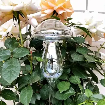 10 best sales Arrosage des bonsaïs - №10