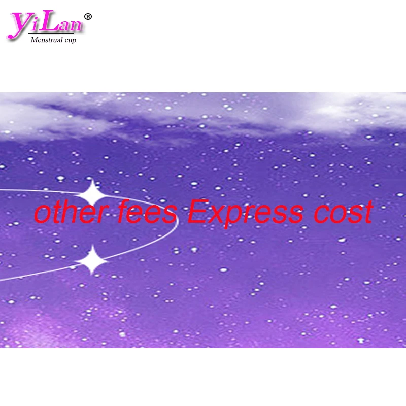 

other fees Express cost