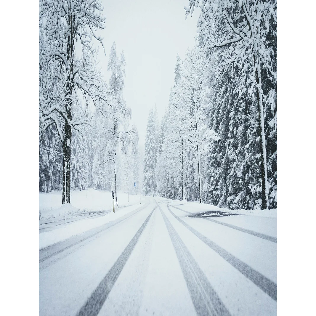 Winter Forest Fotografia Cenário, Snowcovered Road, Paisagem Snowflakes, Spruce Árvores, Photo Background, XD-18