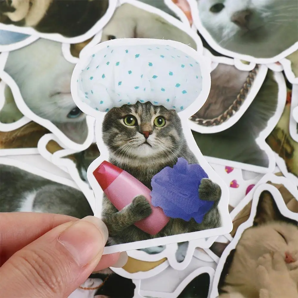 Accessory Funny Stationery Stickers Guitar Animal Cat Stickers Painting Stickers Decorative Sticker Water Cup Stickers