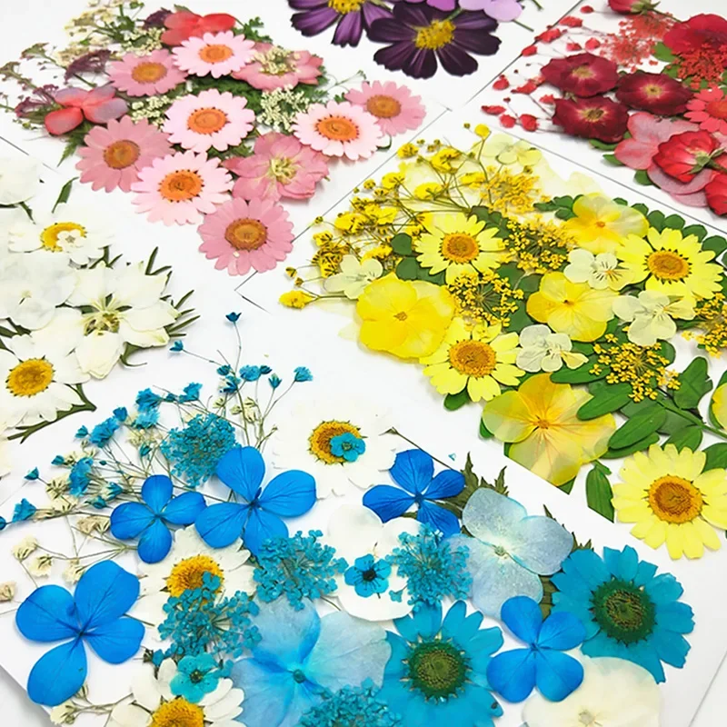 1 paquete de pegatinas de flores naturales de resina UV de flores secas, calcomanía de belleza seca para bricolaje, relleno de resina epoxi, fabricación de joyas, decoración artesanal