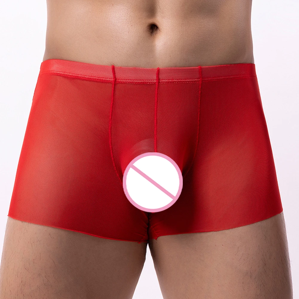 Mens Boxer Briefs Mesh Underwear Breathable Sexy Low Waist Hollow Thin Intimates