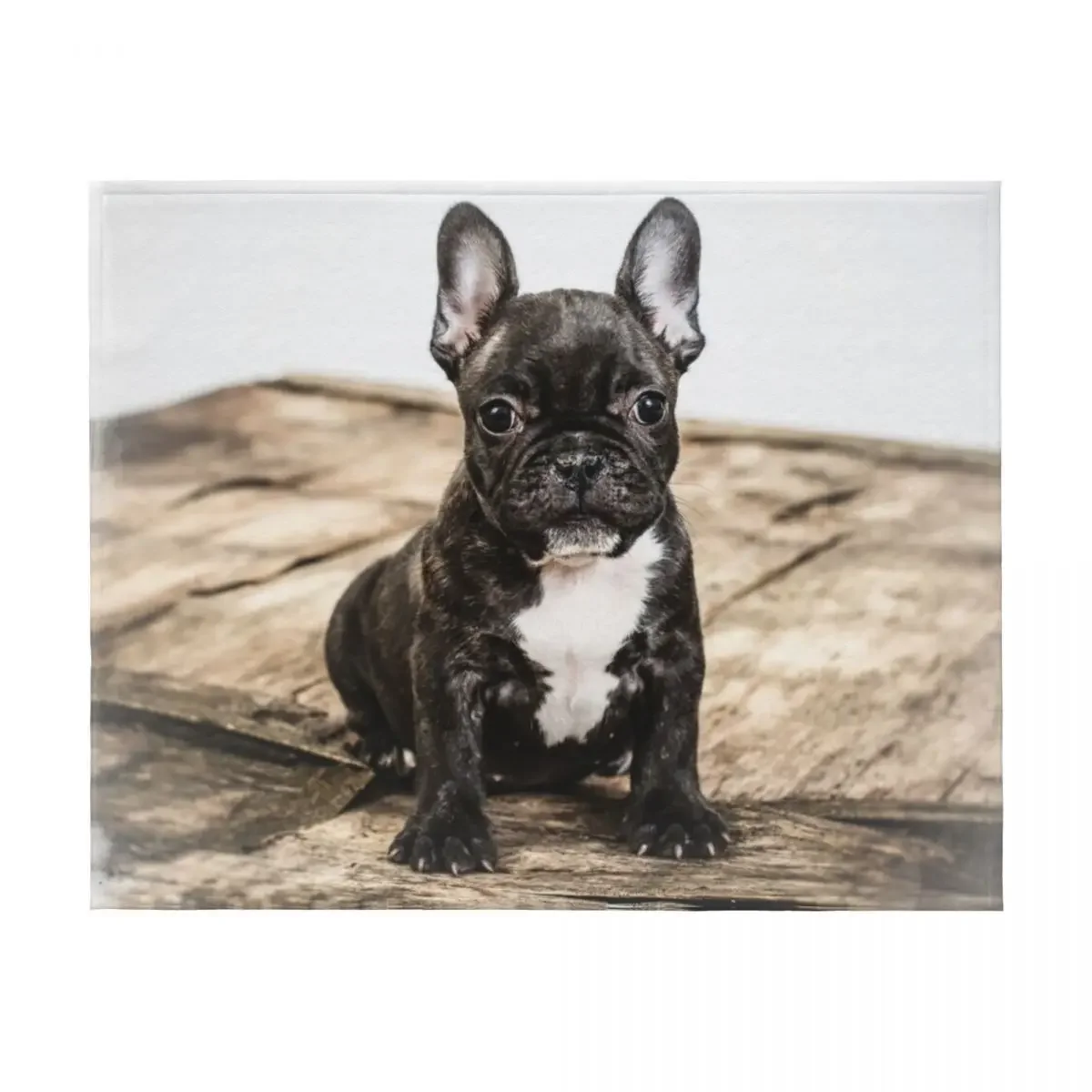 بطانية رمي جرو بولودج الفرنسية لفصل الشتاء أنعم بطانيات سرير أريكة مشعرة #2