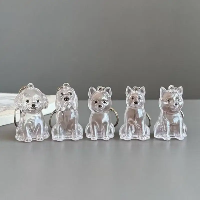 Chaveiro de armazenamento de cabelo de cachorro fofo transparente pele de animal de estimação lembrança cápsula saco pingente decoração lembrança coleção presente joia memorial