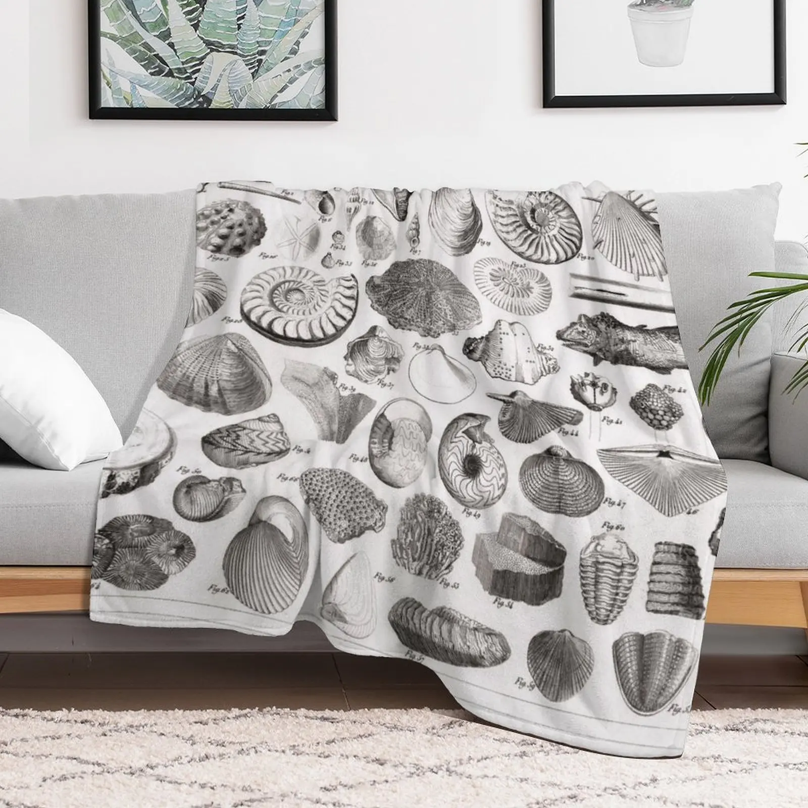 1857 Diagram Paleontology: Fossils Throw Blanket Plush Bed linens Furry decorative Blankets