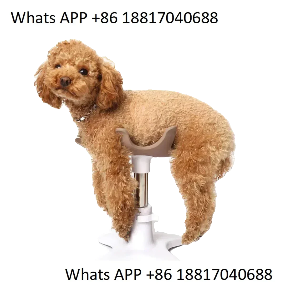 

Pet grooming table dog fixing auxiliary rack pet- bathing special manicure hair dryer