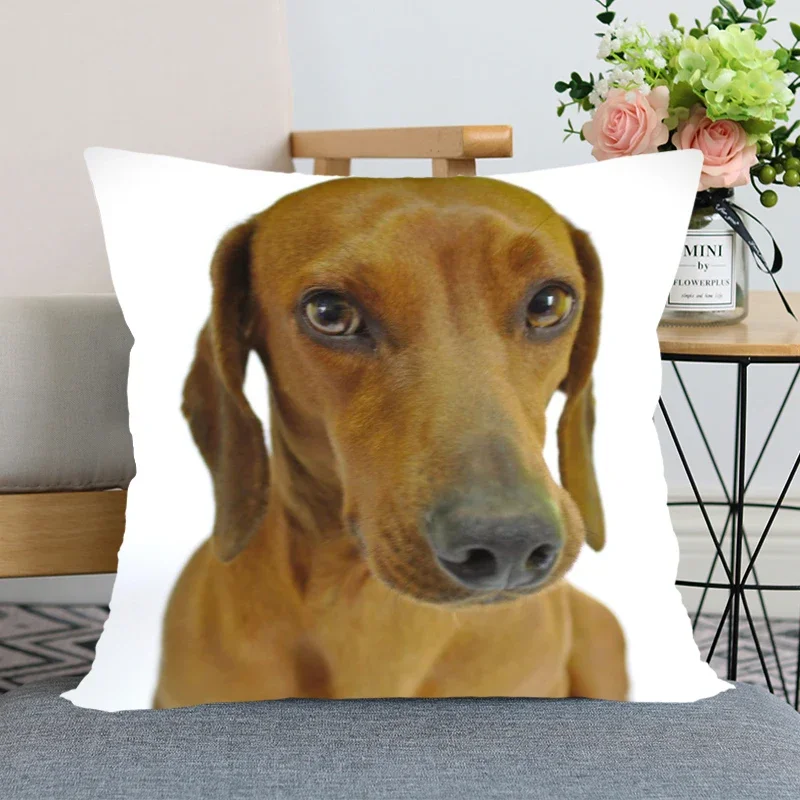 Taie d'oreiller animal chien teckel, taie d'oreiller décorative pour mariage, haute qualité, nouvel an, offre spéciale