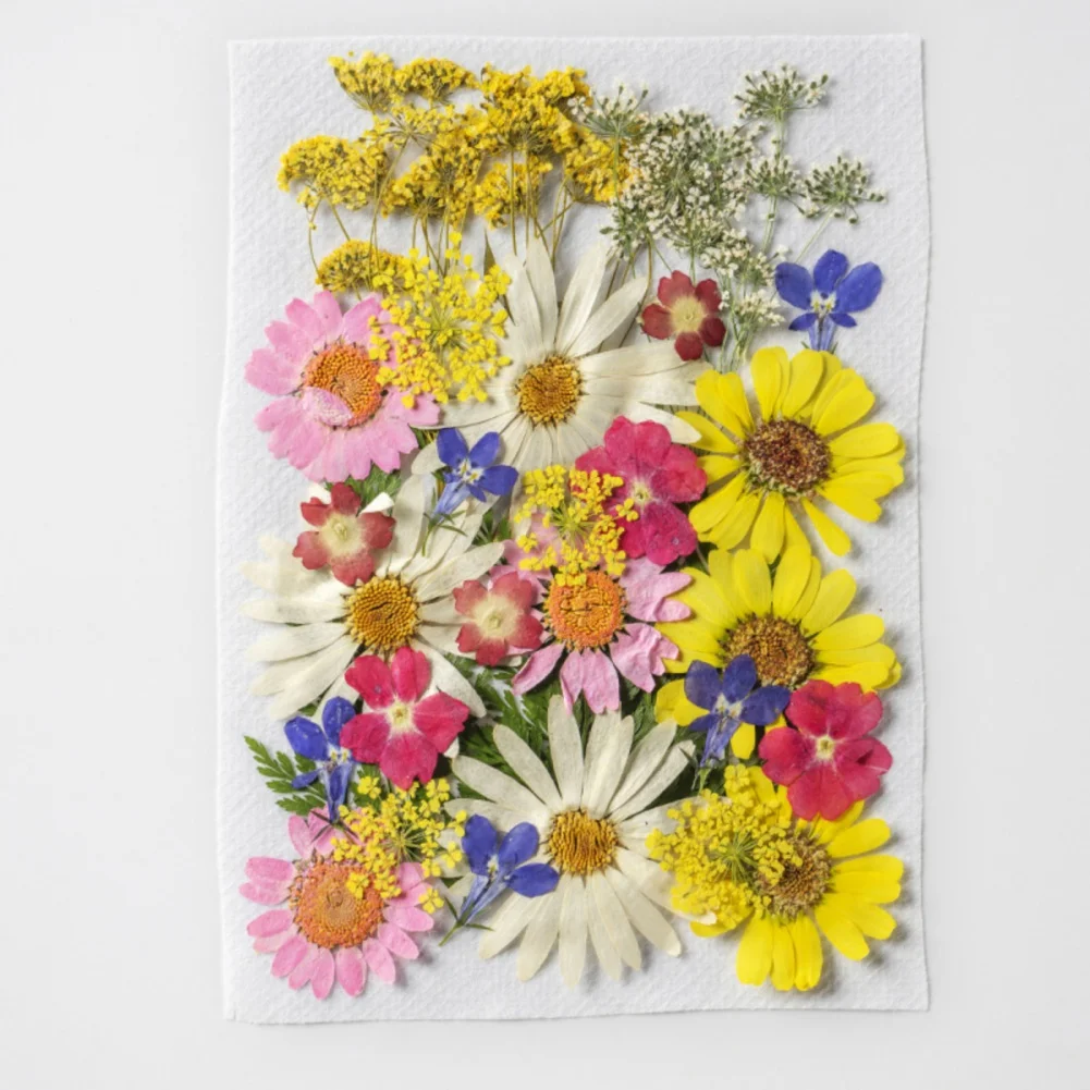 35pcs Dried Flower Diy Pressed Flower Specimens Dried Flower Art Decoration Diy Home Decoration