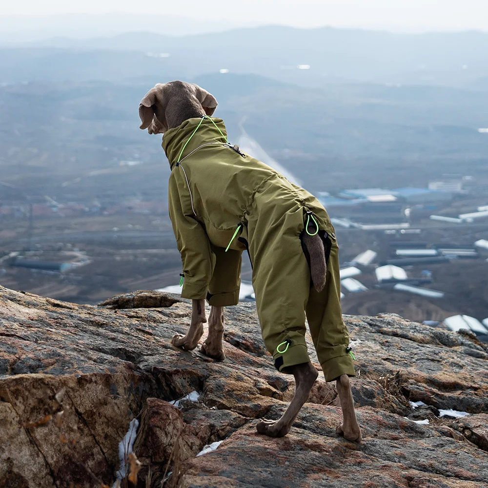 

Outdoor Hiking Coat for Large Dog Customize Waterproof Jacket with Adjustable Harness Famous Luxury Pet