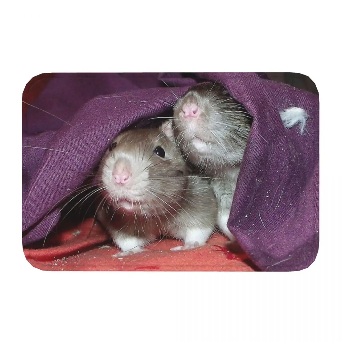 Cute And Small Rats Colorful Cunning Bedroom Mat Hidden Doormat Kitchen Carpet Balcony Rug Home Decoration