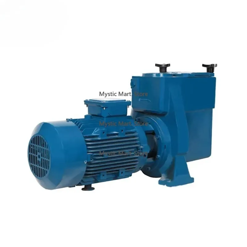 Aqua Circulating Pump Cast Iron Water Pump with High Power for Large Swimming Pool/water Park