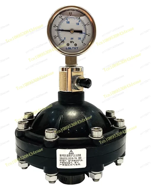 Pulsation Damper 0.35-4L DN15-DN50 Internal Thread Diaphragm Pulsation Dampener For Pumps Dosing System